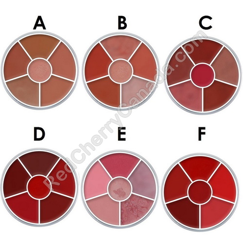 Kryolan Color Wheel Makeup Mugeek Vidalondon