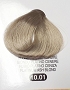  Terme Pro Hair Color 10.01 100 ml 