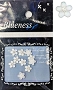  Nail Gem Flower White & Crystal 10/Pack 