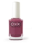  Color Club 1199 Ghosted 15 ml 