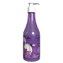  Shampoo Hand Soap Lavender 8 oz 