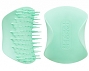  Scalp Brush Mint 