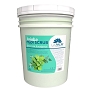  La Palm Pedi Scrub Spearmint Bucket 