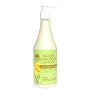  La Palm Lotion Ginger 8 oz 