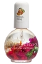  Blossom Cuticle Oil Orange .5 oz 