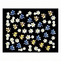  Berkeley 3D Nail Decal 