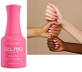  Gel Pro 066 Hot Shot 15 ml 