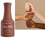  Gel Pro 113 Cara-Melt 15 ml 