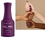  Gel Pro 136 Vamp It Up 15 ml 