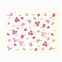  Berkeley 3D Nail Decal Rose 