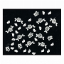  Berkeley 3D Nail Decal 