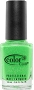  Color Club GN05 Glitter Envy 15 ml 