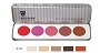  Kryolan Blusher 5 Colors SHD Palette 