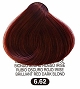  Terme Pro Hair Color 6.62 100 ml 