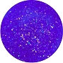  NSI Acrylic Glistening Cobalt 7 g 