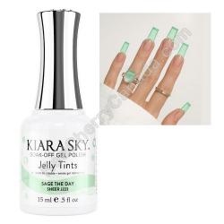  Jelly Tints JT223 Sage The Day 15 ml 